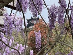 -缥缈峰景区