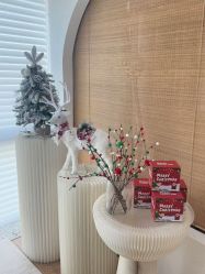 -ANNIL安奈尔·NASX超透白·科技抗衰·问题性肌肤管理
