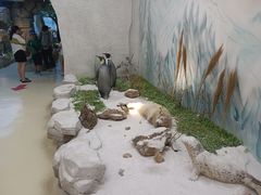 -西霞口神雕山野生动物世界