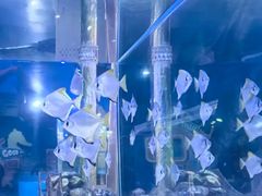 -欢乐海岸海洋奇梦馆