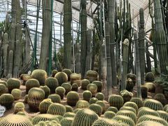 -南山植物园