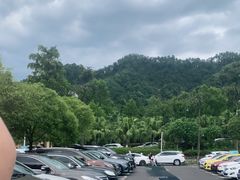 -重庆海昌加勒比海水世界