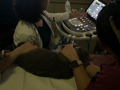 -美联众合动物医院·24h转诊中心