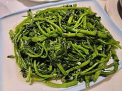 -张记旺角食街(动物园店)