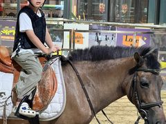 -李振强马术运动推广中心(南城店)