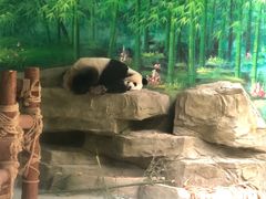 -灵玲国际马戏城