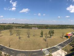 -春花秋色城市公园