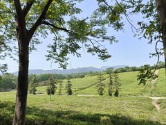 -宜兴龙背山森林公园