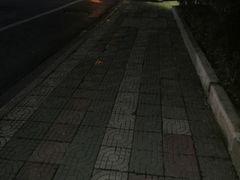 -金杨老摊头蛋饼(金口路店)