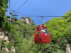 -王顺山国家森林公园