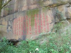 -铁山坪森林公园