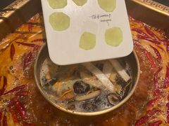 -蜀九香火锅(李家沱店)