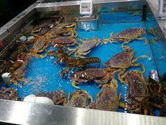 珍宝蟹-盒马鲜生(189购物中心店)