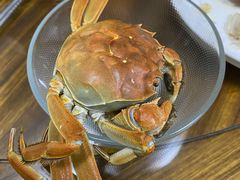 -七的湖·晚芳亭·阳澄湖农家菜·大闸蟹(莲花岛店)