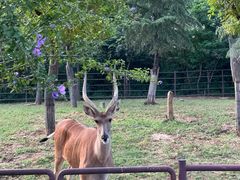 -济南野生动物世界