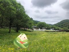 -大水川景区
