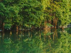 -桤木河湿地公园