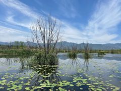 -野鸭湖国家湿地公园