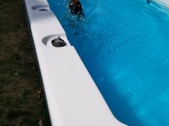 -翊宠yipet猫狗购宠庄园犬舍•猫舍