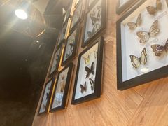 -吉布鲁牛排海鲜自助(顺庆红光路店)