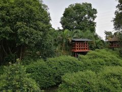-广州市帽峰山景区