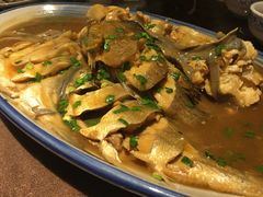 -福来齐·鲁菜海鲜·渔家菜(朝阳街分店)