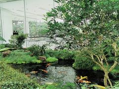 -罗红摄影艺术馆