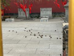 -中心庙
