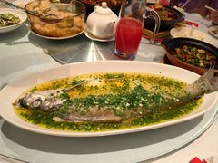 葱油蒸白水鱼-玫瑰厅上海菜(兴国路店)