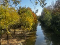 -上海长兴岛郊野公园