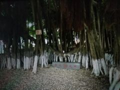 -胡里山炮台