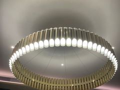 -桃花源中餐厅(金茂豪华精选酒店)