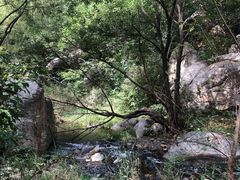 -碓臼峪自然风景区