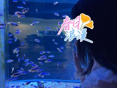 -海合安成都极地海洋公园