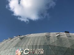 -花之城