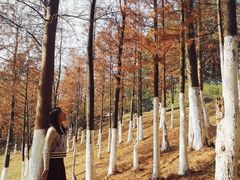 -东莞植物园
