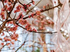 -我的四季意大利餐厅(春天百货店)