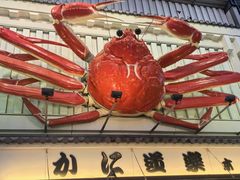 -蟹道乐(道顿堀本店)