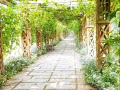 -北京张裕爱斐堡酒庄