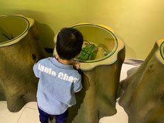 -上海昆虫博物馆