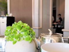 -上海柏悦酒店