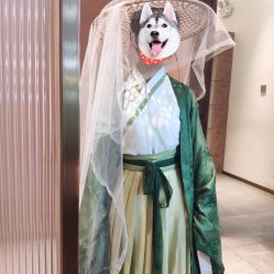 -盘子女人坊古装写真摄影(南京总店)