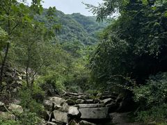 -西安祥峪森林公园