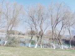 -九里河湿地公园