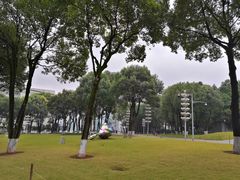 -重庆市江北嘴中央商务区中央公园