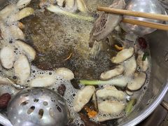 -乳仔牛牦牛汤锅 烤羊排(松潘古城店)
