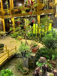 -小红帽摄影(丽江店)