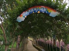 -武汉紫薇都市田园