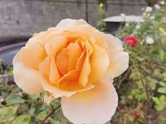 -北京植物园南门售票处