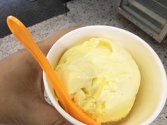 -iceason爱茜茜里·意大利健康冰淇淋(骑龙巷店)